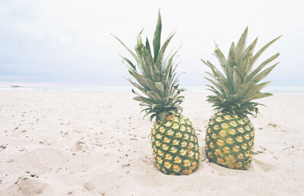 Great bulk recipes to help use all your organic vegetables