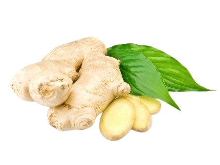Gingembre